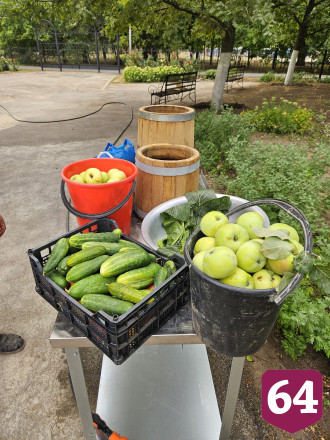 Саратовцам раскрыли главный секрет хруста солений из бочки